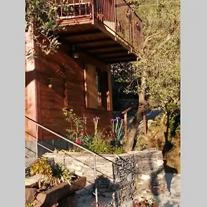 La Casetta Di Molly Tra Ulivi E Roseto Leivi